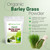 Z Natural Foods Organic Barley Grass Powder - USDA Organic Whole Food Green Blend for Energy Boost, Detox & pH Balance with Amino Acids, Minerals - A