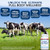 Ultimate 100% Grass Fed Beef Organs Supplement Supports Energy & Whole Body Wellness* with a Complex of Desiccated Beef Liver, Heart, Kidney, Pancrea