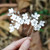 Gorais Bride Wedding Hair Pin Silver Flower Bridal Hair Piece Beaded Hair Clip Hair Accessories for Women and Girls