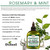 Difeel Rosemary and Mint Oil Root Stimulator with Biotin 2.5 oz. - Hair Growth Scalp Treatment