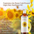 Plant Guru Sunflower Oil 4 fl oz  Cold?Pressed, 100% Pure & Natural Carrier for Skin, Face, Body, Hair & Cooking. Great for DIY Creams, Lotions, Soa