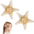 2PCS Starfish Hair Clip Mermaid Hairclips Sea Shell Accessories Handmade Natural Sea Star Hair Pin Cute Headwear for Girls Women, Random Size