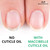 Maccibelle Cuticle Oil 0.5 oz - Heals Dry Cracked Cuticles (Milk and Honey, 0.5 Fl Oz)