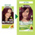 Garnier Nutrisse Ultra Crème Hair Color, Permanent Hair Dye with 100% Gray Coverage, Vegan & Cruelty-Free, 42 Deep Burgundy (Black Cherry), 1 Count