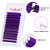 Easy Fan Volume Lashes D Curl Mixed Tray Purple Volume Eyelash Extensions 8-14mm Rapid Blooming Lash Extension Supplies by FADLASH (Purple 0.07-D-Mix