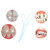 Dvluck 3 Packs Floss Threaders Tooth Floss Holders Between Orthodontic Braces Bridge