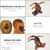 Parcelona French Small Three Teeth Tortoise Brown Shell Pony Fish Style Strong Grip Jaw Hair Claw Clip Clamp