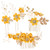 FOMIYES Bridal Hair Comb and Pins Set, Yellow Flower Headpiece for Wedding, Party, and Evening, 4 Pieces Zinc Alloy Hair Accessories