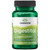 Swanson Digestitol - Natural Digestive Health Support Featuring Digestive Enzymes and BioPerine - Supports Increased Nutrient Absorption & Overall We