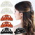 RC ROCHE ORNAMENT 6 Pcs Womens Beauty Vintage French Barrette Strong Hold No Slip Interlocking Jaw Teeth Clasp Styling Premium Fashion Accessory Hair