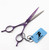 6.0 inch Professional 440C Barber Hairdressing Cutting Shear - Salon Hair Scissor for Hair Stylist (6.0 inch)