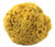 100% Natural Sea Sponge 5-6" by Spa Destinations"Creating The In Home Spa Experience" For the Perfect Bath or Shower Experience. 