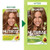 Garnier Nutrisse Ultra Crème Hair Color, Permanent Hair Dye with 100% Gray Coverage, Vegan & Cruelty-Free, 63 Light Golden Brown (Brown Sugar), 2 Cou