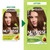 Garnier Nutrisse Ultra Crème Hair Color, Permanent Hair Dye with 100% Gray Coverage, Vegan & Cruelty-Free, 53 Medium Golden Brown (Chestnut), 2 Count