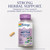 SOLARAY Nettle Root Extract 300 mg with Nettle Root 150 mg, Healthy Urinary & Prostate Support for Men with Amino Acids and Beta-Sitosterol, Vegan, 6