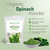 Z Natural Foods Organic Spinach Powder - 100% Pure & Nutrient-Dense Dried Raw Spinach Leaves for Immune & Energy Boost - Fresh Powdered Vegetable, Su
