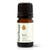 Plant Therapy Myrrh Essential Oil 100% Pure, Undiluted, Natural Aromatherapy, Therapeutic Grade 5 mL (1/6 oz)