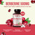 High Strength Berberine Supplement 500mg - Once Daily Potent Berberine 500mg Antioxidant Quercetin Supplement for Heart Aging and Vitality Support -