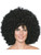 Smiffys Mega Huge Afro Wig (Black)