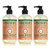 MRS. MEYER'S CLEAN DAY Hand Soap, Made with Essential Oils, Geranium, 12.5 fl. oz - Pack of 3