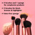 e.l.f. Complexion Essentials Brush & Sponge Set, Concealer, Powder, Blush & Highlighter Brushes & Total Face Sponge, Vegan & Cruelty-Free