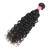 Subella Hair 7A Brazilian Water Wave 1 Bundle Unprocessed Virgin Brazilian Human Hair Natural Black Color (10inch)