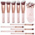 Kabuki Makeup Brush Set - Foundation Powder Blush Concealer Contour Brushes - Perfect for Liquid, Cream or Mineral Products - 10 Pc Collection with P