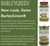 BARLEYGREEN Dr. Hagiwara's Original Premium w/Kelp - Organic Barley Grass Juice Powder 8.5oz (240g) - 40 Servings
