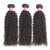 ISEE Hair Virgin Malaysian Deep Curly Jerry Curly Human Hair 3 Bundles,100% Unprocessed Human Hair Extensions Natural Black Can Be Dyed 10inches