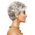 Eva Gabor Acclaim Short Layered Average Size Comfort Cap Wig, Burnished Snow by Hairuwear