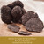 TruffleHunter - Black Truffle Slices - Preserved Truffles in Extra Virgin Olive Oil - 1.74 Oz