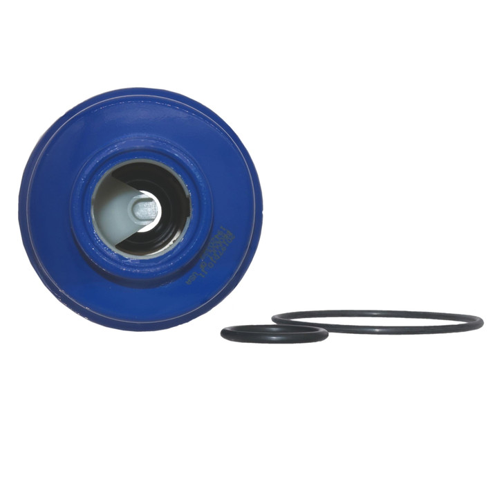 GM Genuine Parts TP3018 (19431541) Fuel Filter Kit