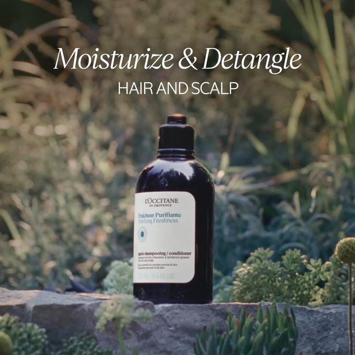 L'Occitane Aromachologie Purifying Freshness Conditioner 16.90 fl. oz