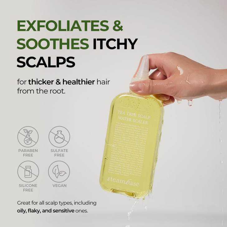 STEAMBASE Tea Tree Scalp Treatment | Purifies and Exfoliates Oily Scalp | Natural BHA & Tea Tree | Removes Odor & Buildup | Hypoallergenic Exfoliator