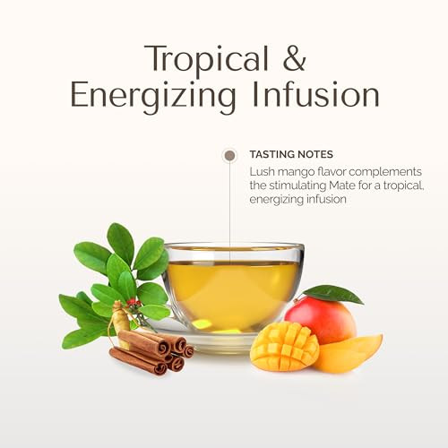 Palermo Organic Yerba Mate Tea Bags 20 Count - Mango Mate Infused with Cinnamon, Orange Peel & Licorice Root - Antioxidant-Rich Tropical Mango Flavor