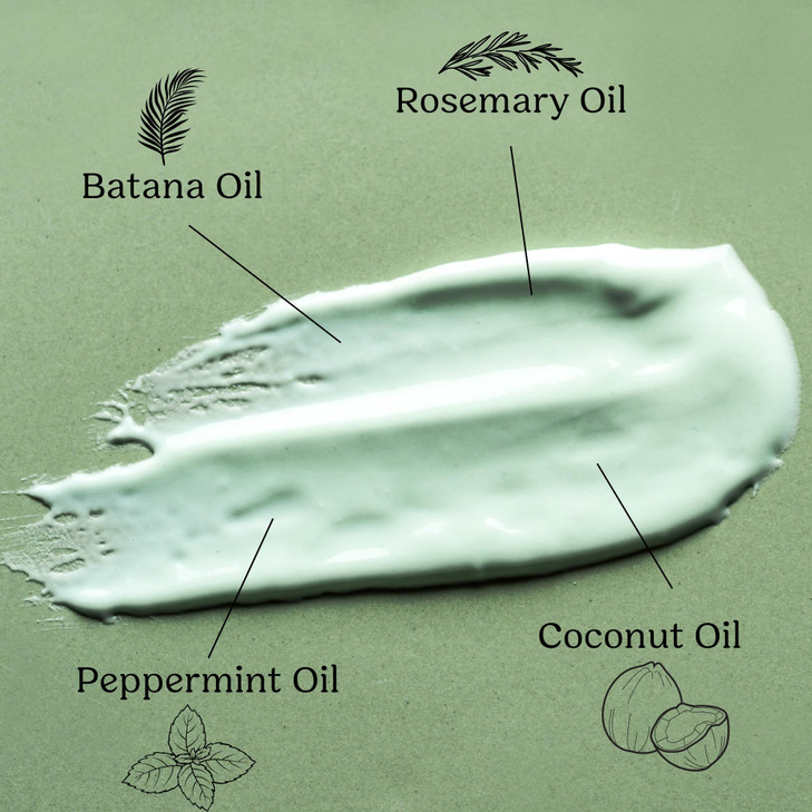 START NATURALS- Batana Oil for Hair Strength, Dr. Sebi 100% Pure & Natural Batana Oil from Honduras | Promotes Hair Wellness for Men & Women (Hair Ma