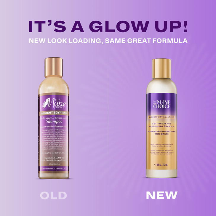 The Mane Choice Ancient Egyptian Anti Breakage Shampoo, 8 oz, Cleanses, Strengthens & Moisturizes with Biotin & Vitamins - Paraben & Sulfate Free Sha