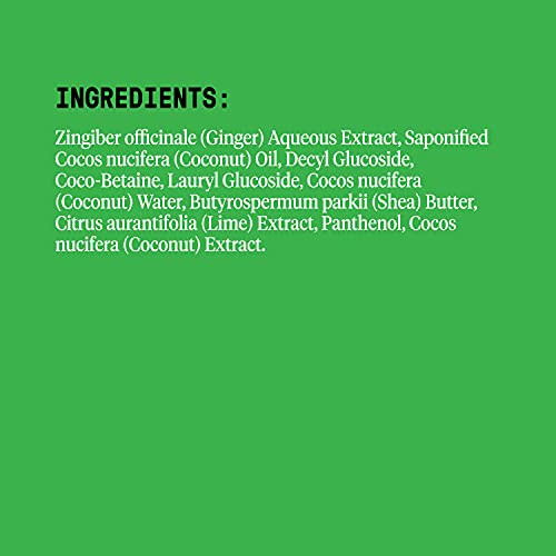 Alaffia EveryDay Coconut Shampoo, Hydrating and Deep Cleansing for Normal to Dry Hair. Made with Fair Trade Coconut Oil and Ginger, Cruelty Free, No