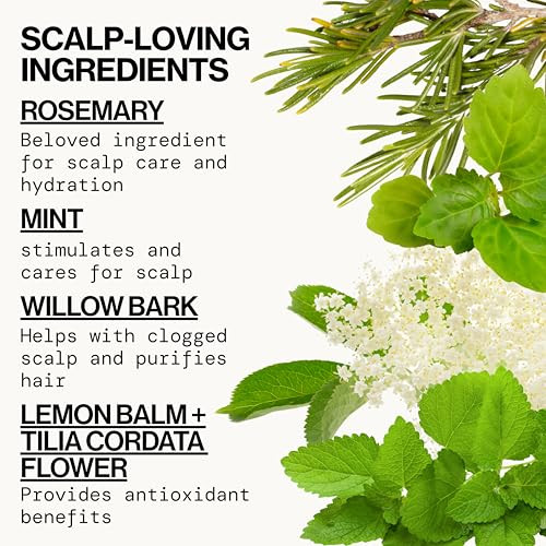 Pacifica Clarifying Shampoo  Rosemary Purify Invigorating Shampoo w/Soothing Mint for Detoxing Hair & Scalp Build-Up, Sulfate & Silicone Free - Vega