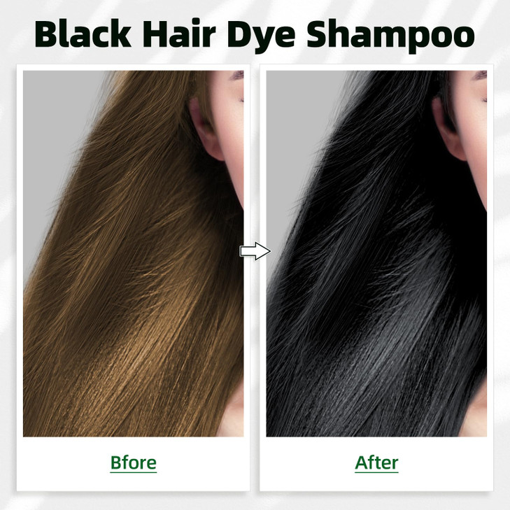 Black Hair Dye Shampoo 3 in 1 for Gray Coverag Color Shampoo for Women/Men Instant Herbal Semi Permanent champu para canas
