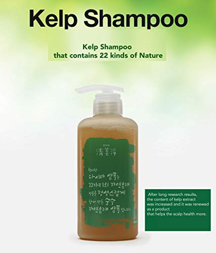 [ChungMiJung] Kelp Small Scalp Shampoo Dandruff Shampoo 500ml-organic 18 Ingredients from Nature for Sensitive Skin Korean Skincare,16.91 Fl oz (Pack