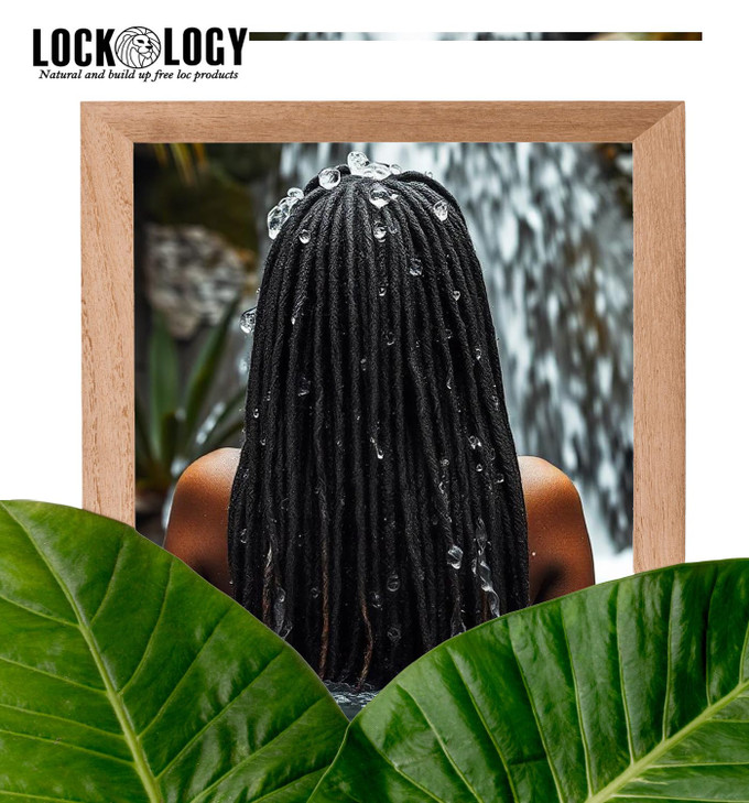 Lockology Loc Shampoo Dreadlock Shampoo with Peppermint Tea Tree, Organic For Dreads | Dreadlock Hair Products