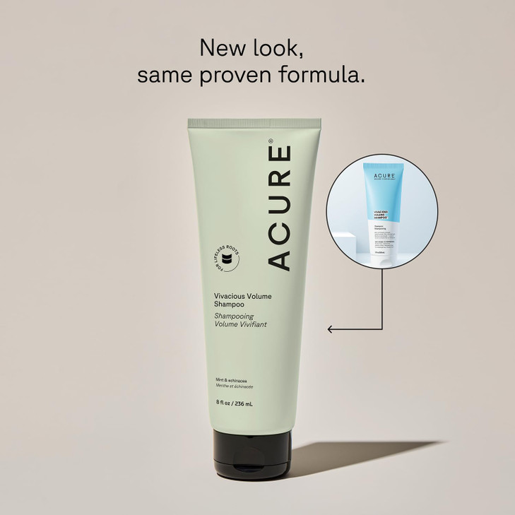 Acure Vivacious Volume Shampoo - Volumizing Shampoo for Fine Thin Hair, Add Body and Thicken Thinning Hair for Women & Men, Scalp Treatment with Mint