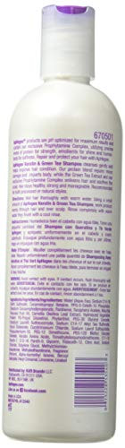 Aphogee Keratin and Green Tea 12-ounce Shampoo, 12 Ounce