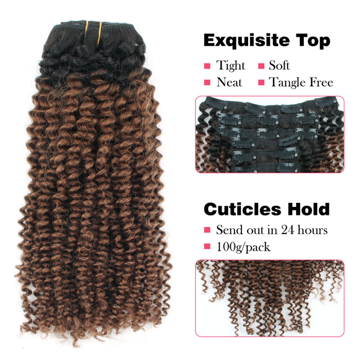 Sassina Ombre Kinky Curly Clip in Human Hair Extensions for African American Black Women Double Wefts 3C 4A Afro Kinky Curly Clip in 7Pcs-120G Ombre