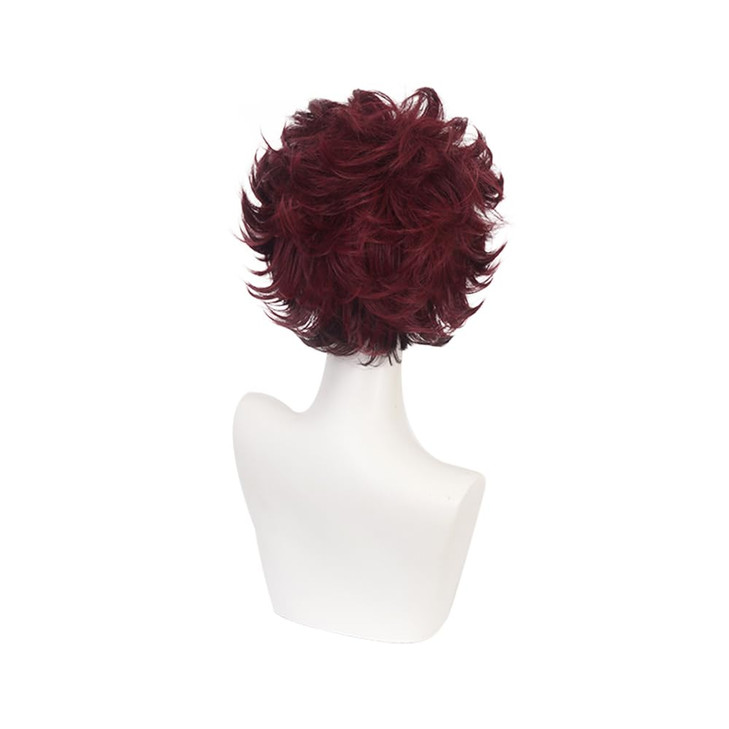 ZGNGLIZ Anime Cosplay Wig Long Short Synthetic Hair for Halloween Costume Party with Free Wig Cap (Short Red-brown)