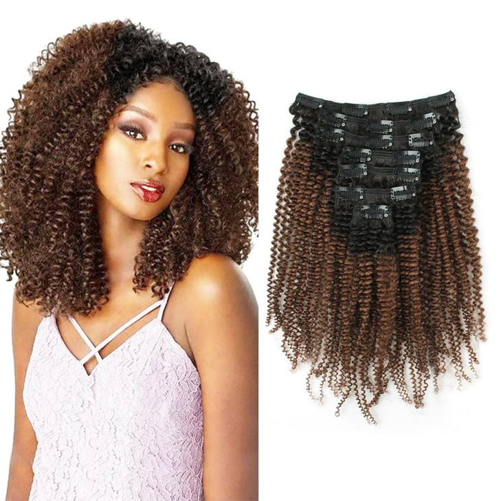 Sassina Afro Curly Clip in Human Hair Extension for Black Women 4B 4C Afro Kinky Curly Clip ins Double Weft Remy Human Hair Natural Black to Brown Do