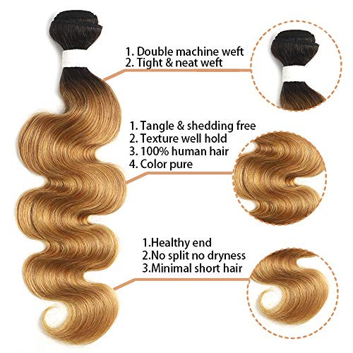 X-TRESS 1b/27 Human Hair Bundles 1 Bundle Ombre Honey Blonde Body Wave Brazilian Hair Weave 100% Human Hair Extensions Bundles Ombre Color 27 Hair We