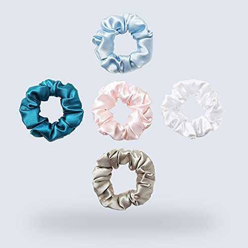 ZIMASILK 100% Mulberry Silk Hair Scrunchies  19 Momme Elastic Silk Hair Ties for Women & Girls, Gentle No-Tug (5 Pack, Light Blue, Pink, White, Taup