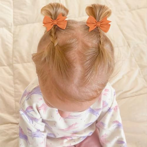 24PCS 2inch Hair Clips, Oaoleer Girls' Fully Lined Tiny Bows Alligator Clips for Infants Toddlers (12 Colors, Style D)